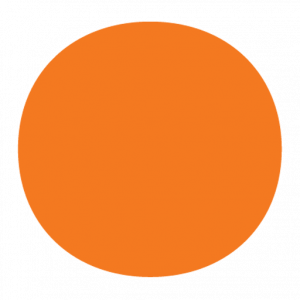 Website Icon